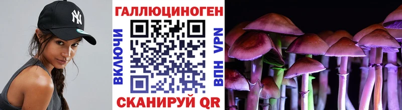 Псилоцибиновые грибы Cubensis  Межгорье 