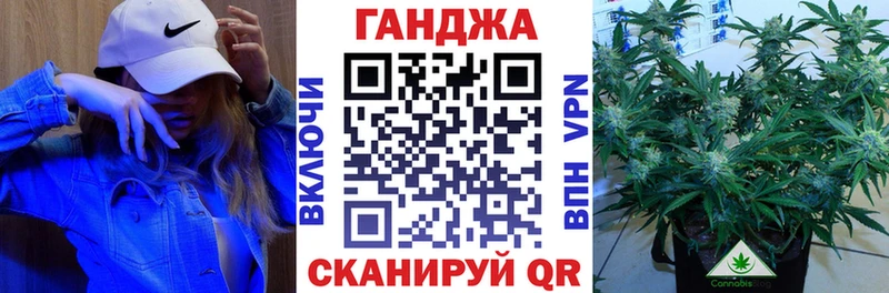 Канабис семена  Межгорье 